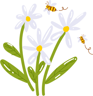 Bees and daisies