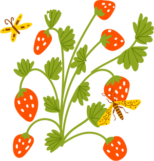 Strawberries and butterflies