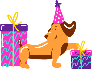 Pet dog with gifts and birthday hat